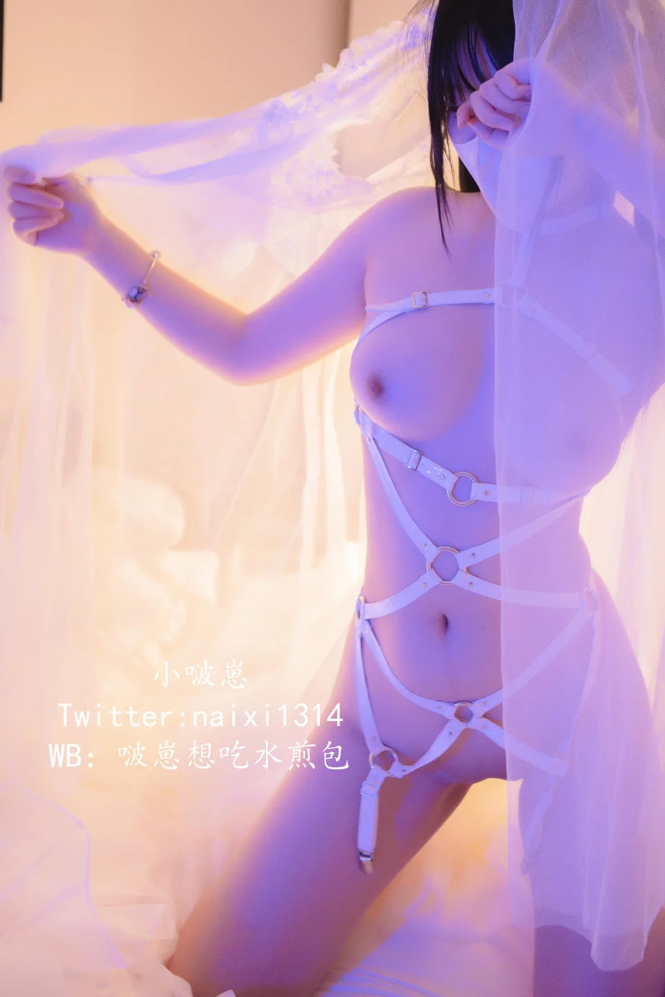 狍崽饭 - No.003 朦胧白 [46P-131MB] tg@simisebaisi 【丝足阁】017.webp
